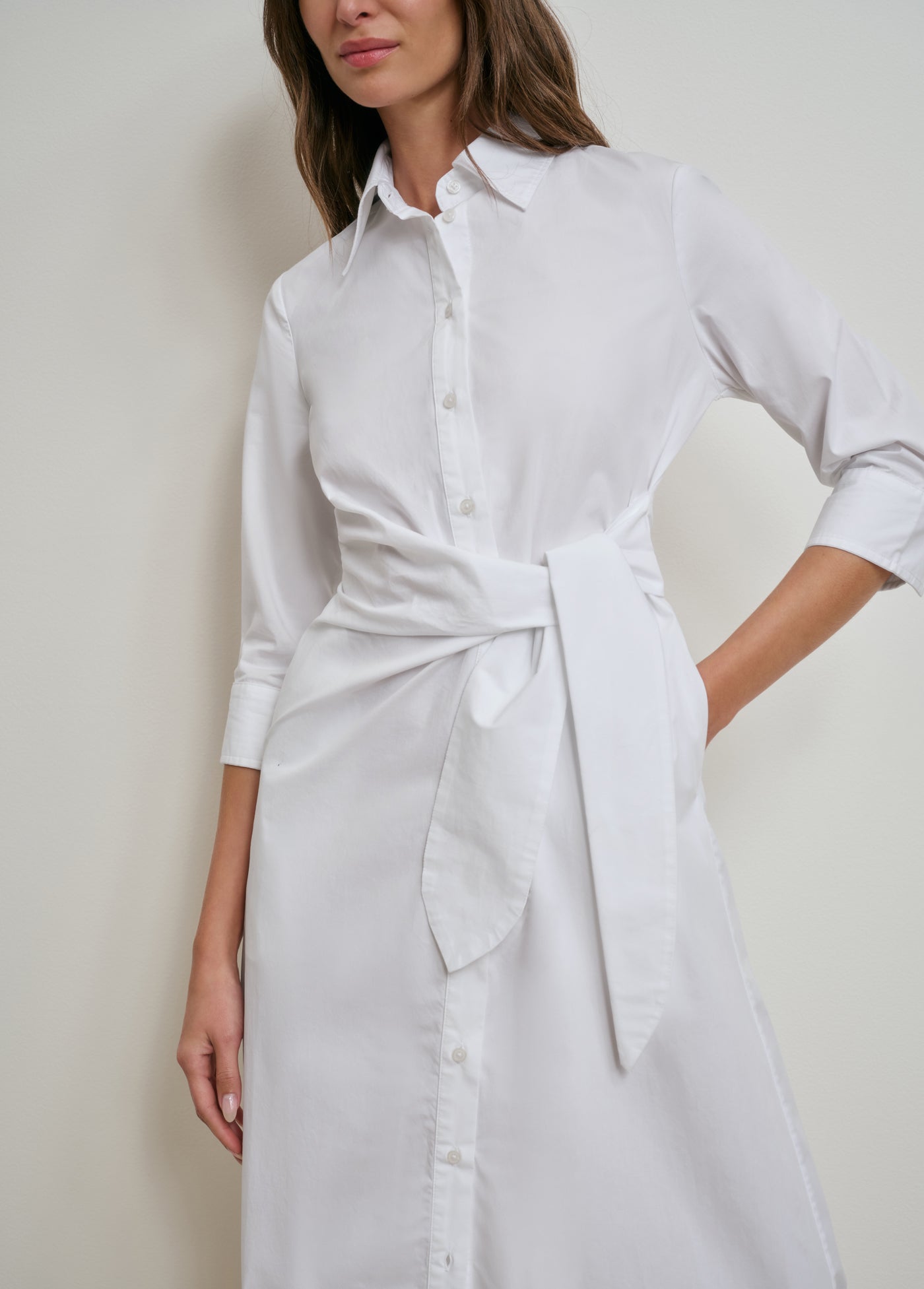 THE WELL MANNERED DRESS - Image 2